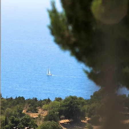 Iliobasilema & فيسكاردو