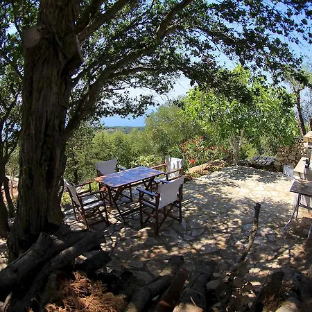 Iliobasilema & فيسكاردو